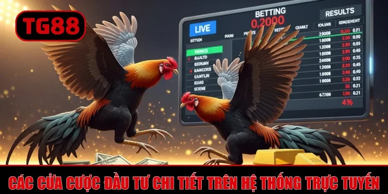 Các cửa cược đầu tư chi tiết trên hệ thống trực tuyến