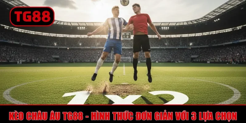 Kèo châu Âu TG88 - Hình thức cược đơn giản với 3 lựa chọn