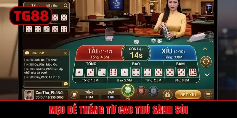 Mẹo dễ thắng từ cao thủ sành sỏi
