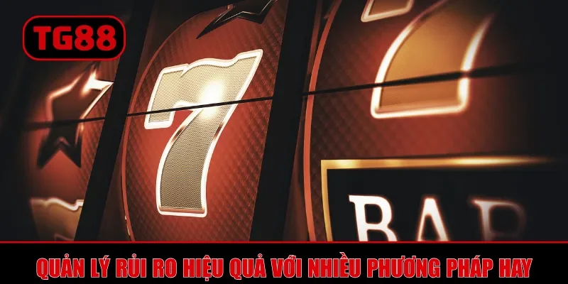 Quản lý rủi ro hiệu quả với nhiều phương pháp hay