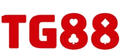 newseo