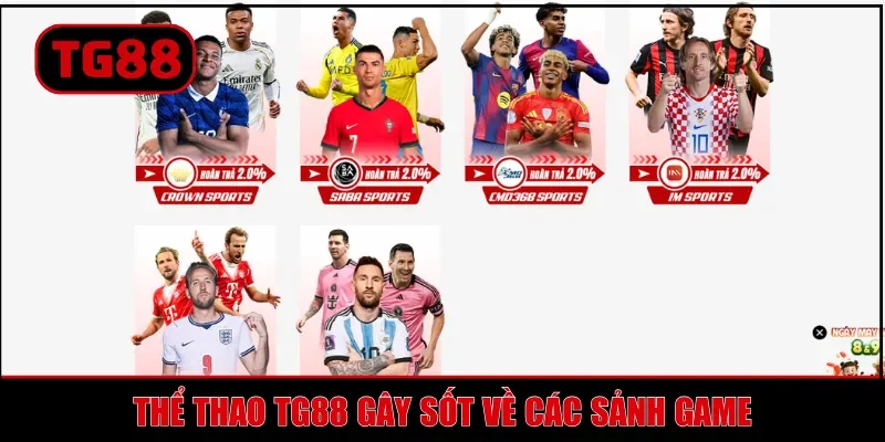 Thể thao TG88 gây sốt về các sảnh game