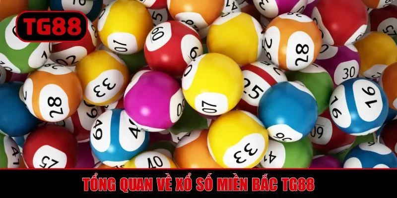 Tổng quan về xổ số miền Bắc TG88