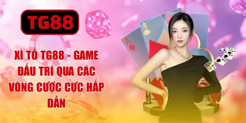xì tố tg88